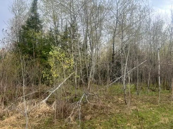 Memory Ln #1, Wabeno, WI 54566