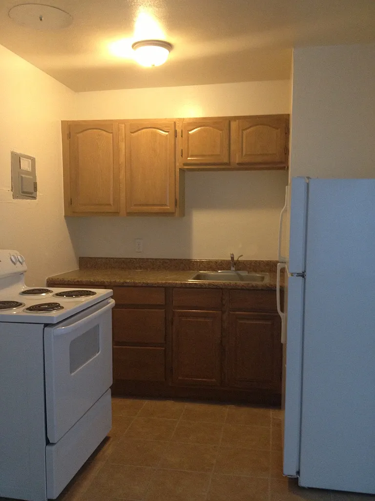 1 bed, 450 sqft, $1,260 — Photo 3