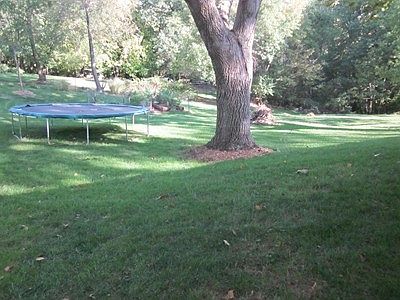 2nd image of 2316 Dehn St