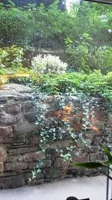 Sold by Citi Habitats | media 4