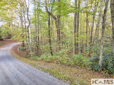 228 Audubon Trail, Cashiers, NC, 28717