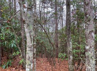 M30 Elk Mountain Trl, Brevard, NC 28712