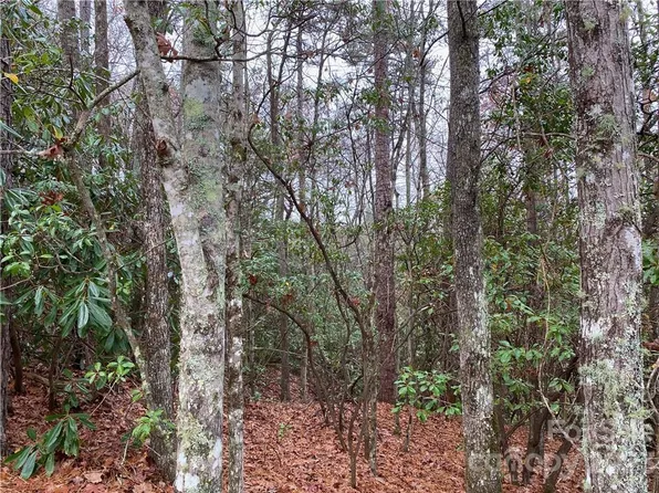 M30 Elk Mountain Trl, Brevard, NC 28712