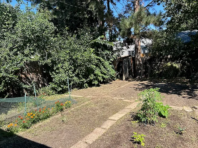 Back yard garden