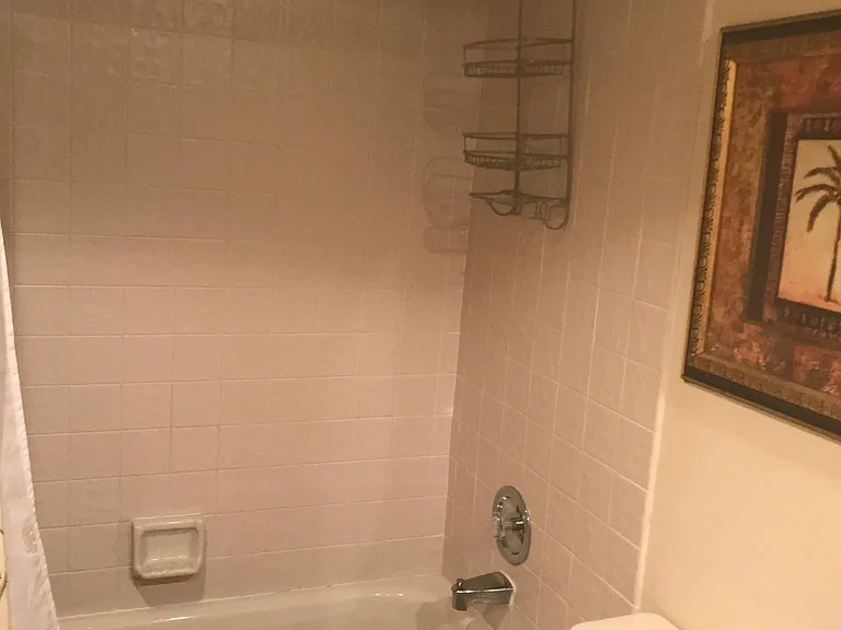 2nd bathroom tub and shower