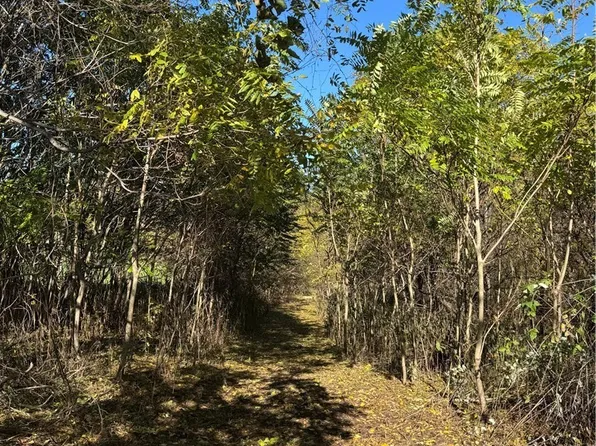 F B Eye Rd, Blue Rock, OH 43720