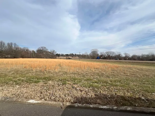 0 Collins St, Ripley, TN 38063