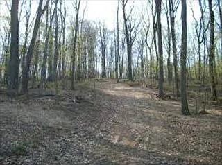34 Buck Run Rd photo 1