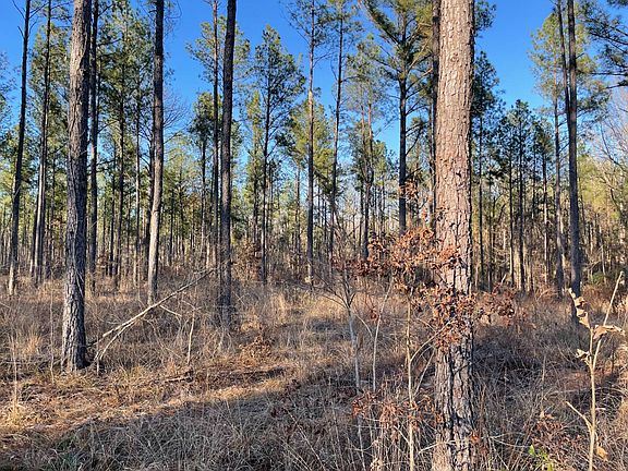 2nd image of 0 Pisgah Rd #4