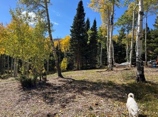 Cuchara Mountain Park Est LOT 6, La Veta, CO 81055