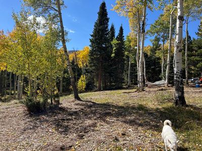 Cuchara Mountain Park Est Lot 6, La Veta, CO, 81055