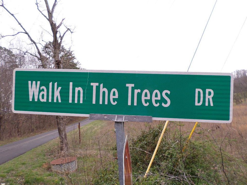 2nd image of LOT 4 Walk In The Trees Dr