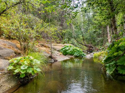 Ponderosa Way, Shingletown, CA, 96088