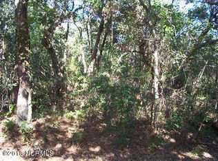 3 Clapper Rail Ct, Southport, NC 28461