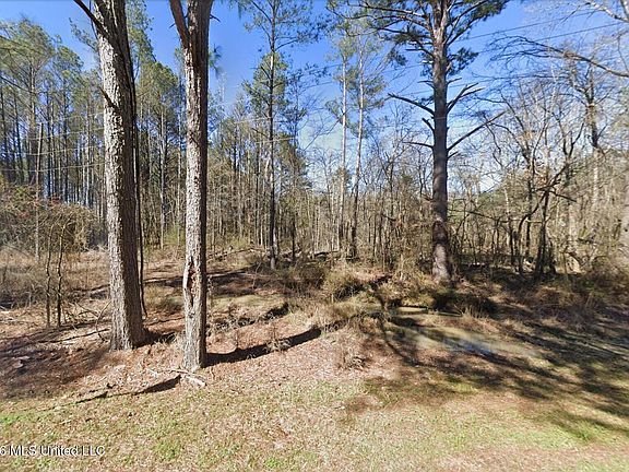 2nd image of 136 McLin Ln
