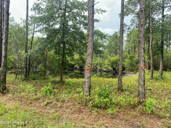 120 Dixon Road, Boiling Spring Lakes, NC 28461