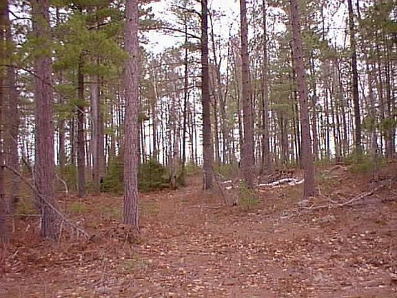 4th image of County Road 412
