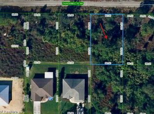 102 Thunderbolt Pl NW, Lake Placid, FL 33852