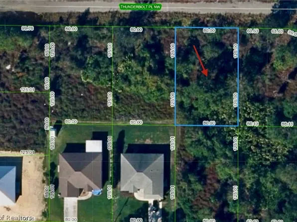 102 Thunderbolt Pl NW, Lake Placid, FL 33852