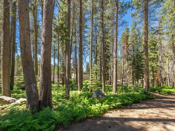21898 Yuba Trl, Soda Springs, CA 95728