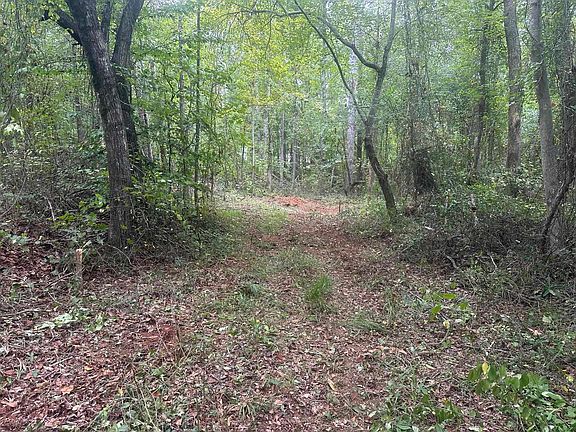 5th image of 290 Burnetts Rd