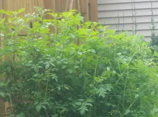 722 21st St, Monroe, WI 53566