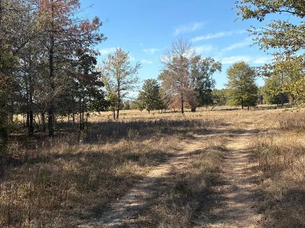 TRACT 6 Highway 990, Simms, TX 75574