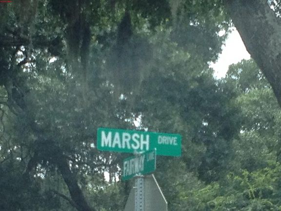 5th image of 16 Marsh Dr