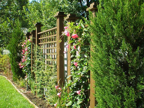 Trellis
