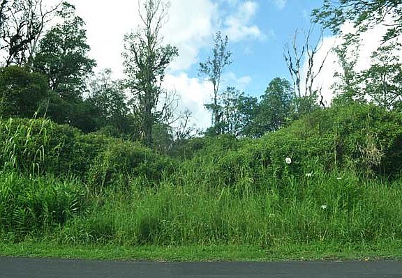 2nd image of Malama St Lot 33
