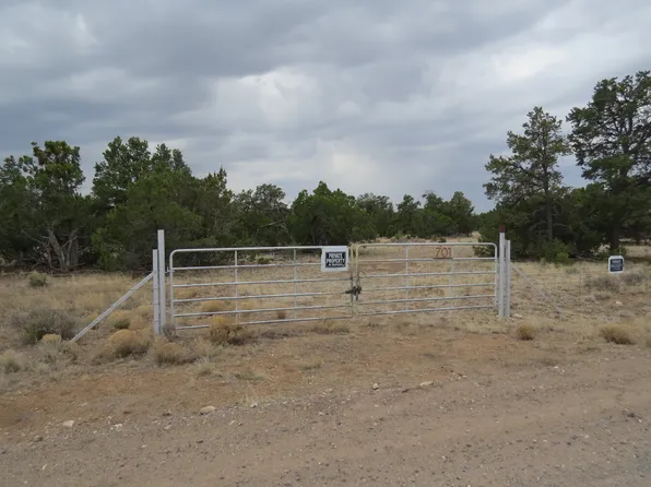 701 Moreno Hill Rd #35A, Fence Lake, NM 87315