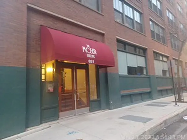 621 S Plymouth Ct APT 610, Chicago, IL 60605