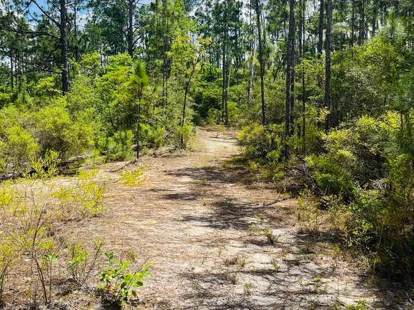 Chaco Cir, Alford, FL 32420