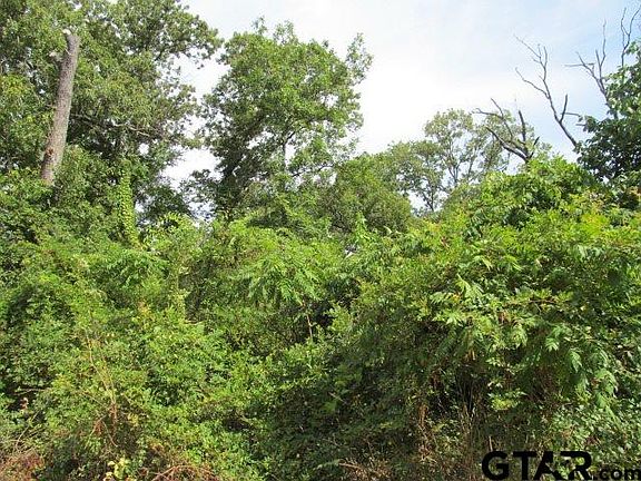 5th image of LOT 21 Private Road 5933