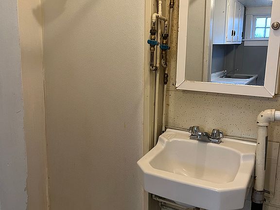 Sink and Shower Area