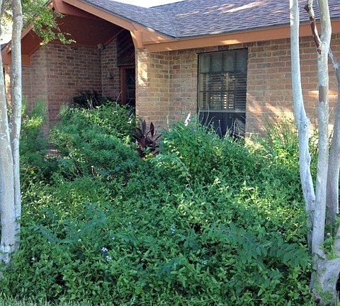 3rd image of 137 E Iris Ave