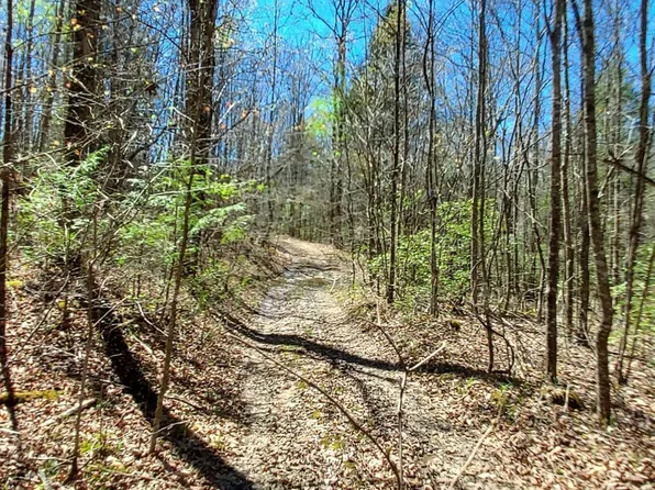 Bear Crk, Winfield, TN 37892