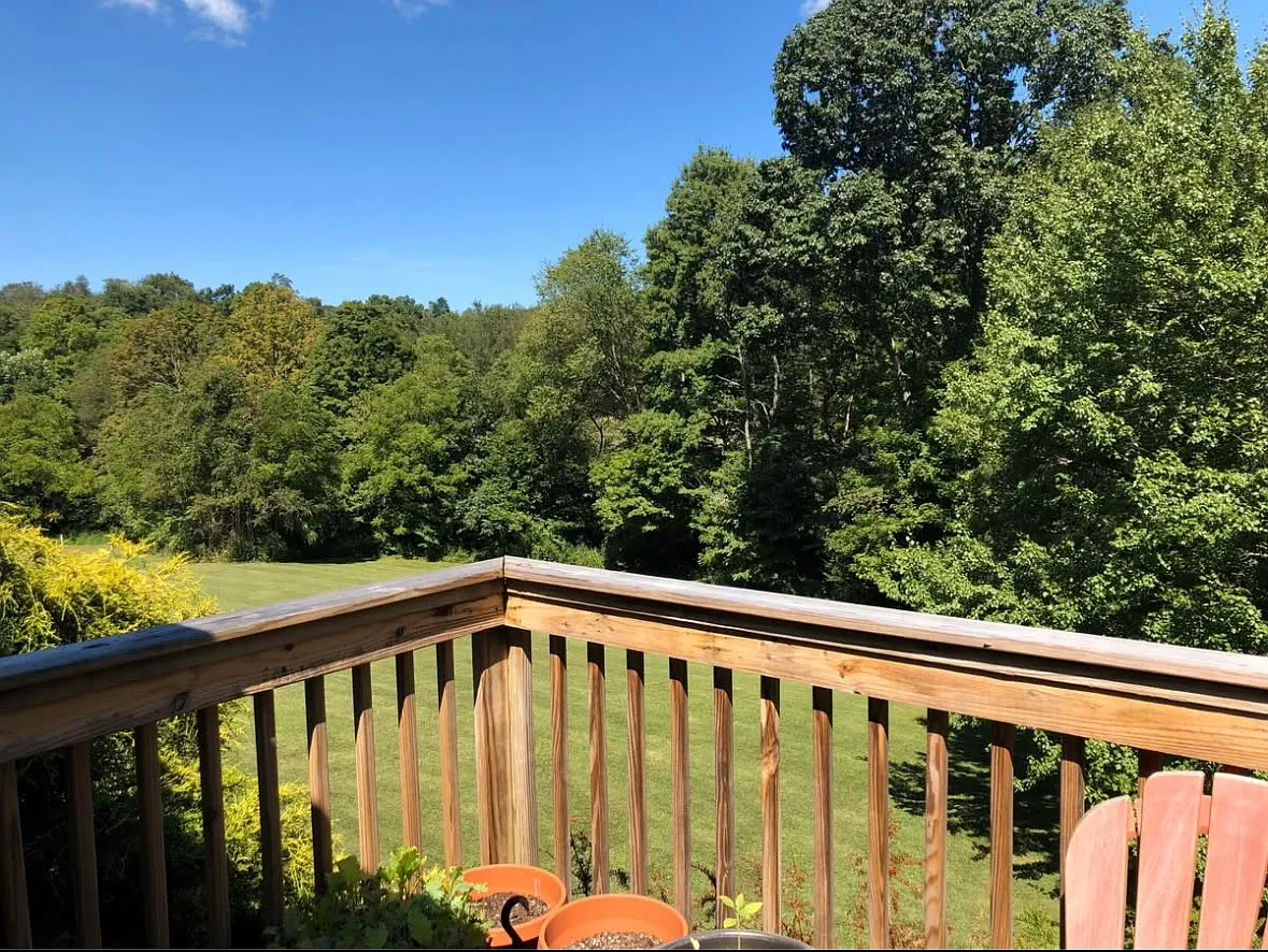 1 bed, $825 — Photo 1