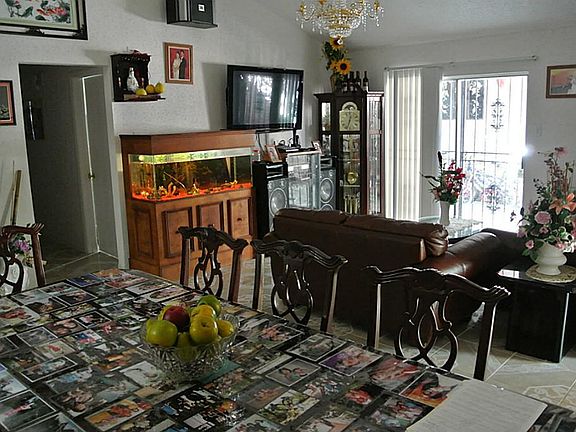KITCHEN LOOK OUT TO LIVING ROOM