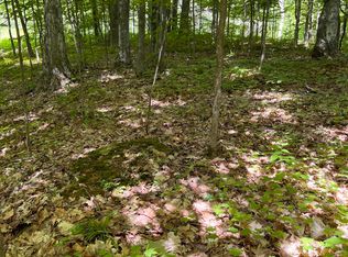 W Babbitt Rd, Frederic, MI 49733