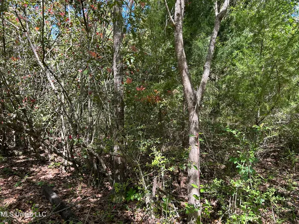 5900 Brown Rd, Ocean Springs, MS 39564
