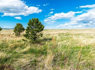 12015 Silver Concho Trl, Elbert, CO 80106