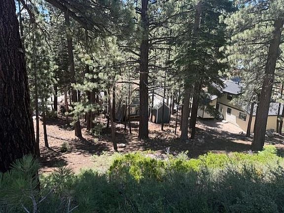 4th image of 753 Forest Trl