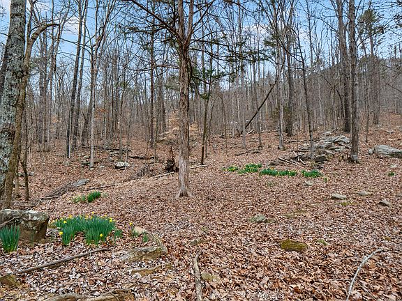 2nd image of LOT 8 Raulstontown Rd