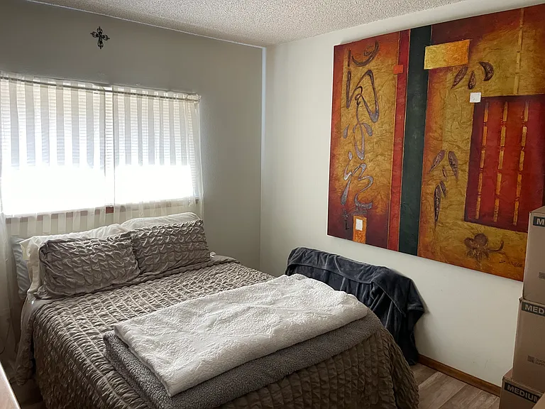 Bedroom #4 (Lower Level)