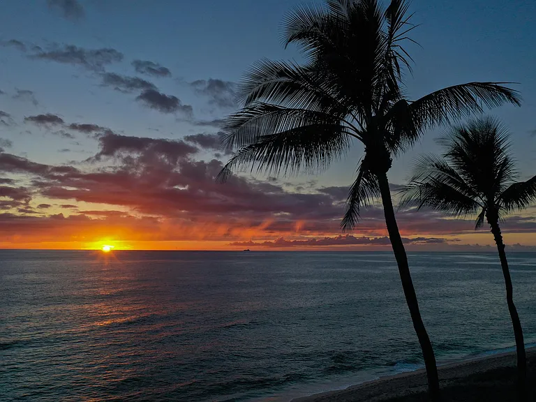 Sunset Terrace — Photo 17