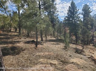 110 Loop Dr, Ruidoso, NM 88345