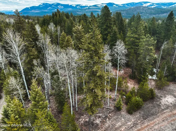 Nna Saddleback Dr Lot 10, Naples, ID 83847