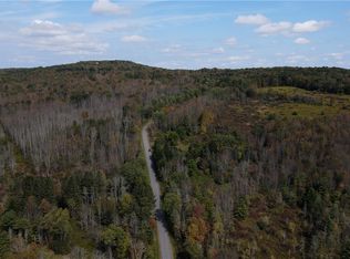 LOT 11 Sisson Hill Rd LOT 11, Unadilla, NY 13849