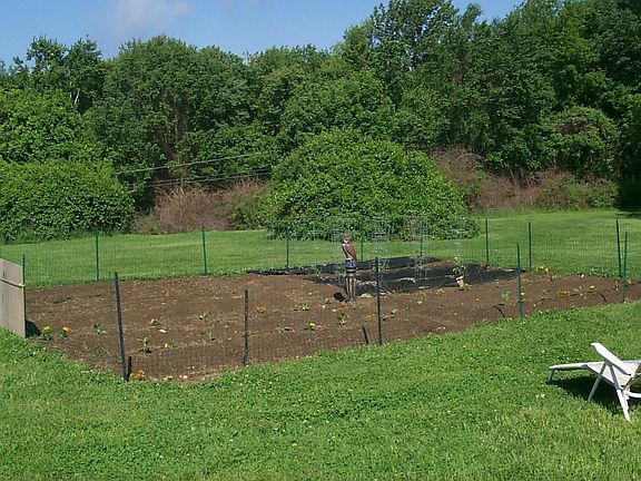 Vegetable garden